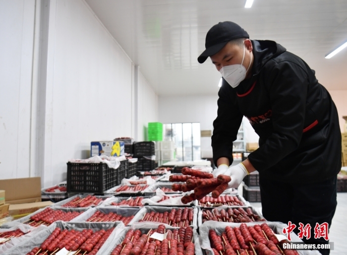 1月18日，雄安新区大树刘庄村辛爱青家中的冰糖葫芦加工厂，工人正在制作冰糖葫芦。作为远近闻名的“冰糖葫芦村”，大树刘庄村制作冰糖葫芦的历史已有100多年，全村三分之二的村民都会这门手艺，吸引不少游客慕名而来。 中新社记者 韩冰 摄