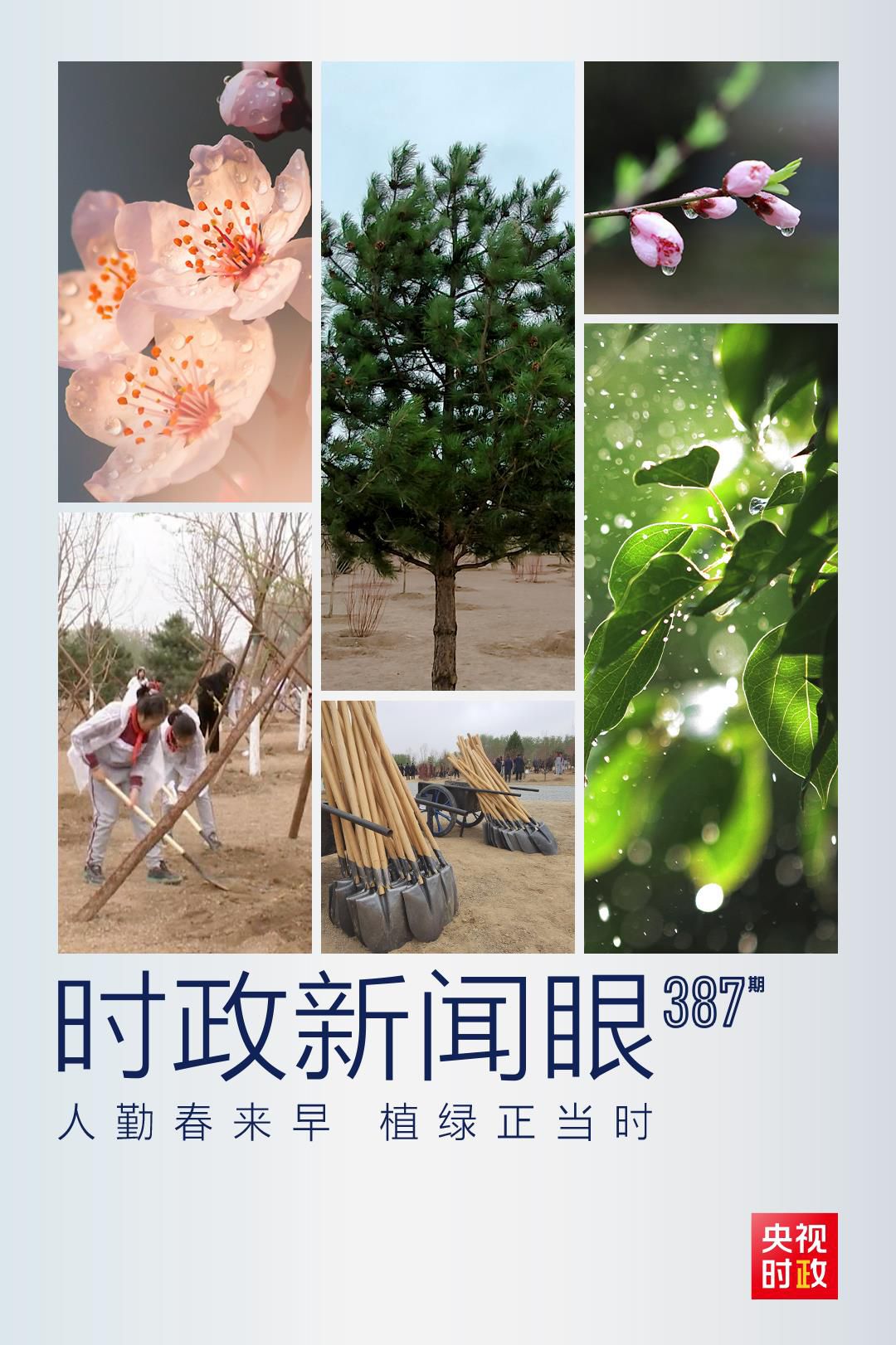 在今年首都义务植树现场，习近平这三句话饱含深意